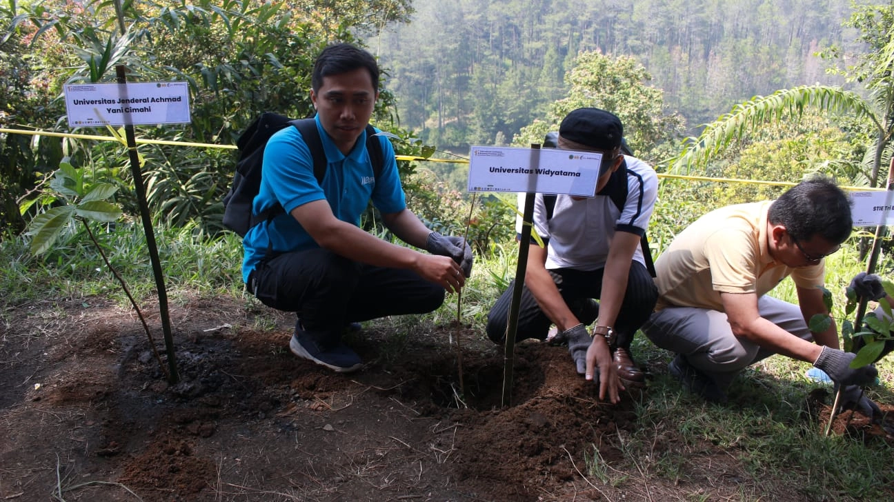 Conference Background 4