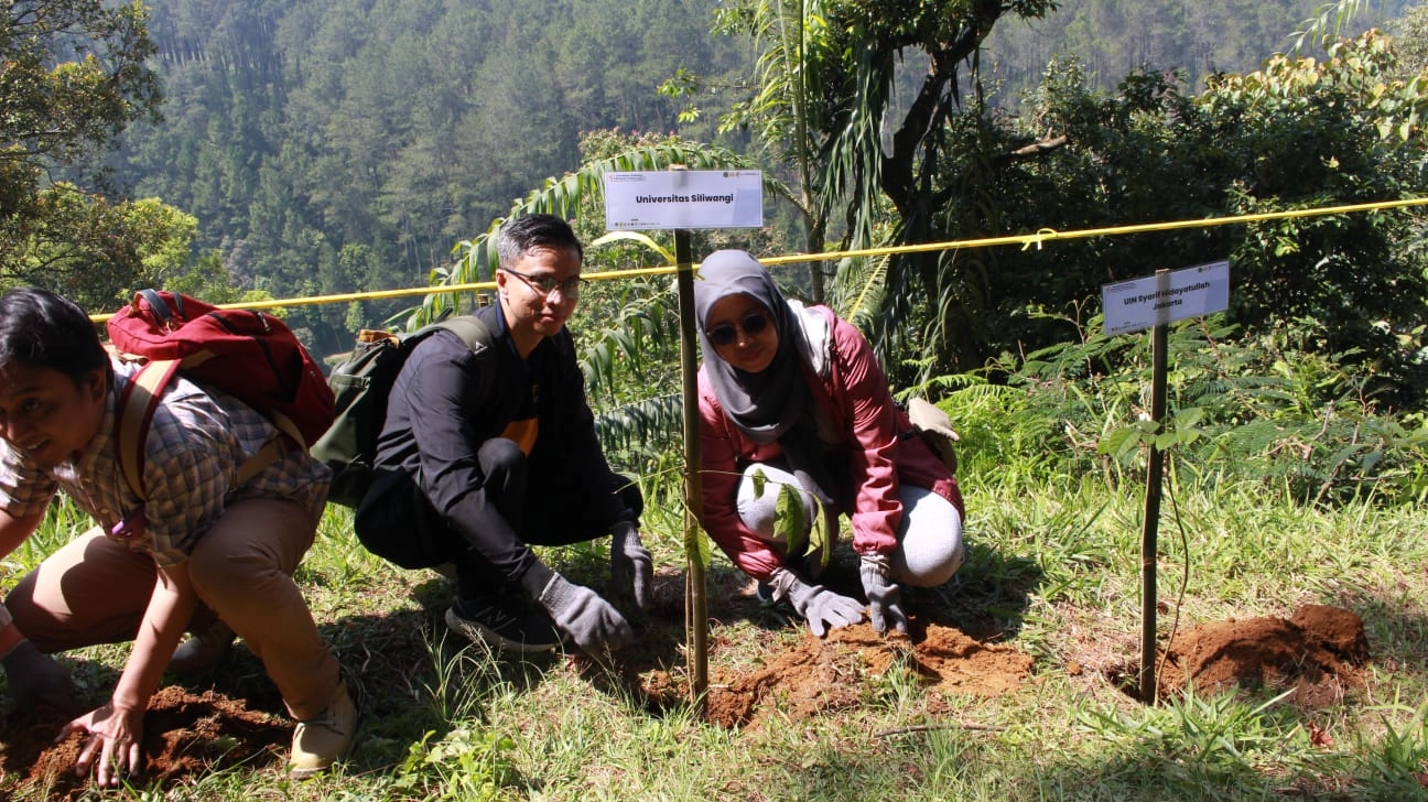 Conference Background 13