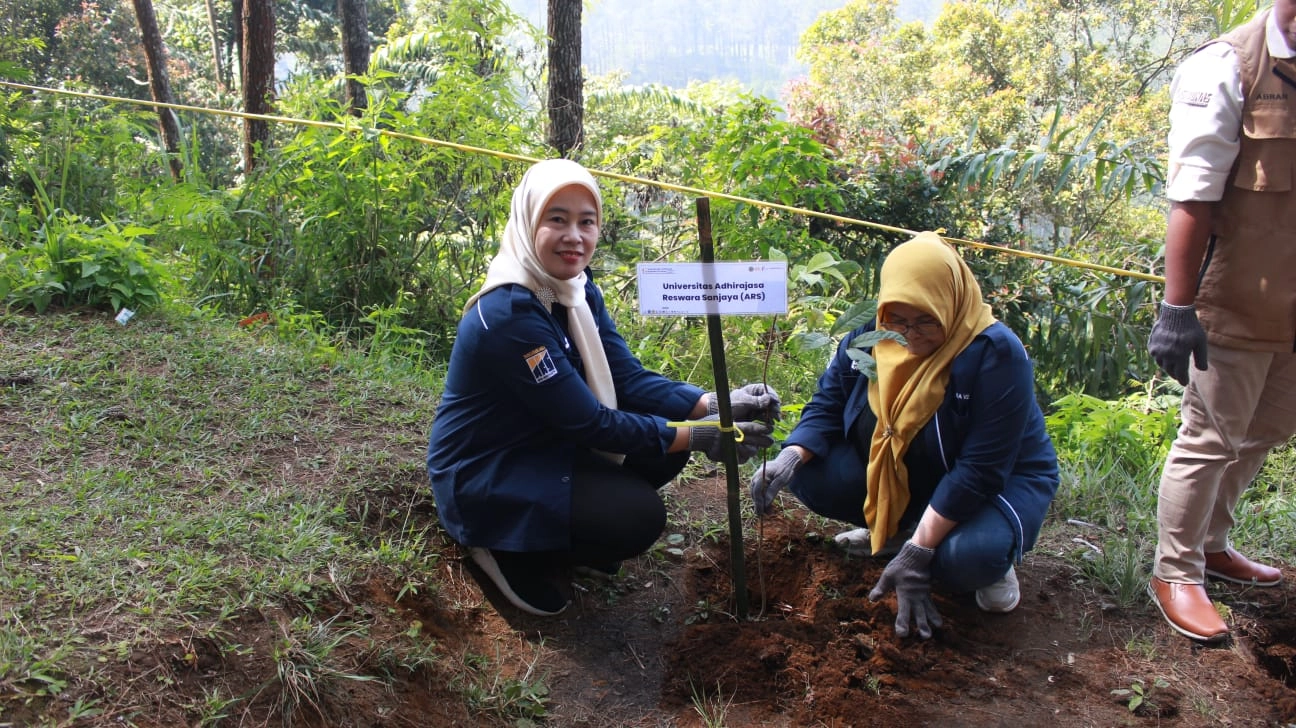 Conference Background 10